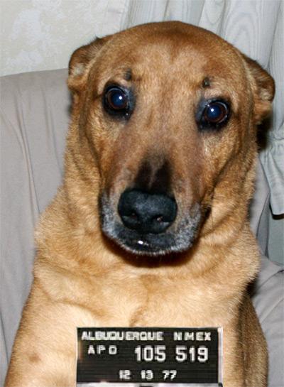 MugShot!